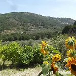 Quinta Do Pina * 과르다
