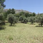 Quinta Do Pina *