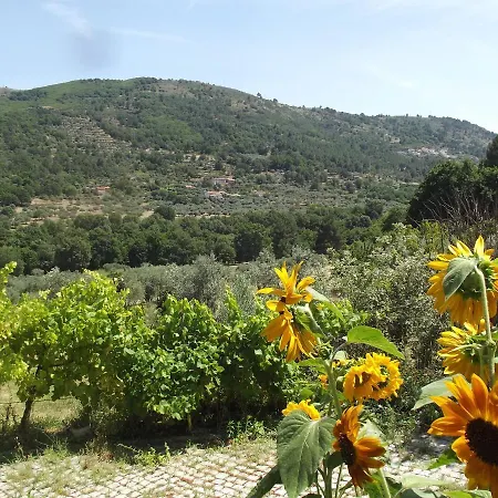 Quinta Do Pina * Guarda