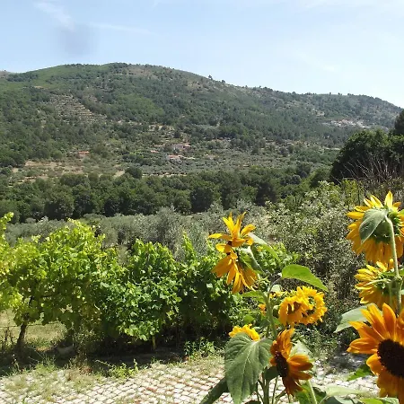 Quinta Do Pina * Γκουάρντα