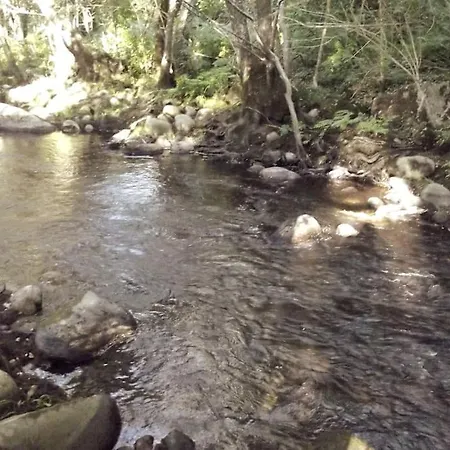 Quinta Do Pina *