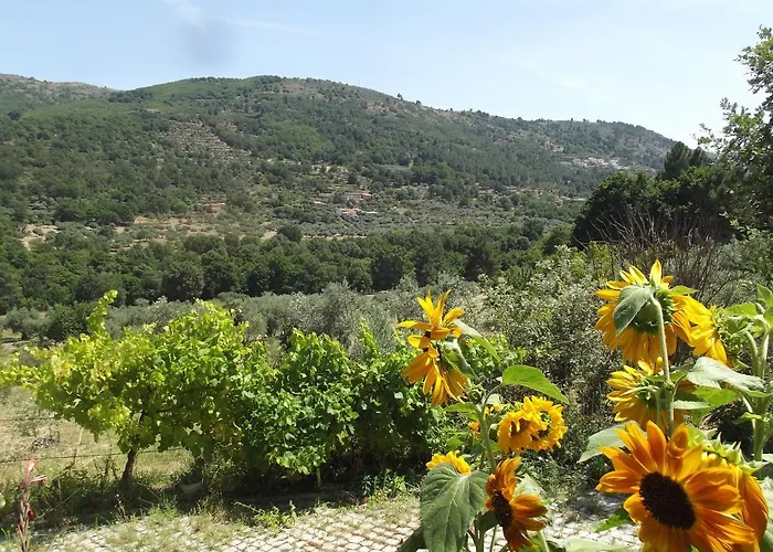 Quinta Do Pina * Guarda