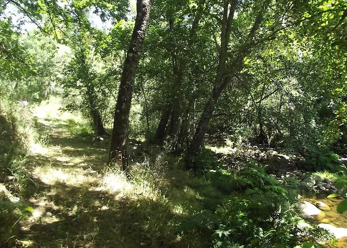 Quinta Do Pina * Guarda