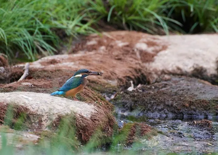 Quinta Do Pina Apartment